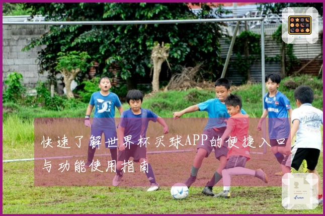 快速了解世界杯买球APP的便捷入口与功能使用指南