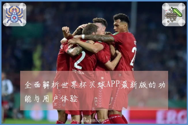 全面解析世界杯买球APP最新版的功能与用户体验
