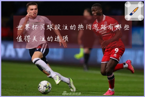 世界杯买球投注的热门思路有哪些值得关注的选项