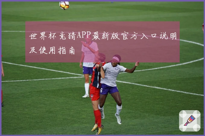 世界杯竞猜APP最新版官方入口说明及使用指南