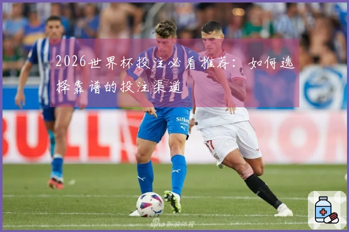 2026世界杯投注必看推荐：如何选择靠谱的投注渠道