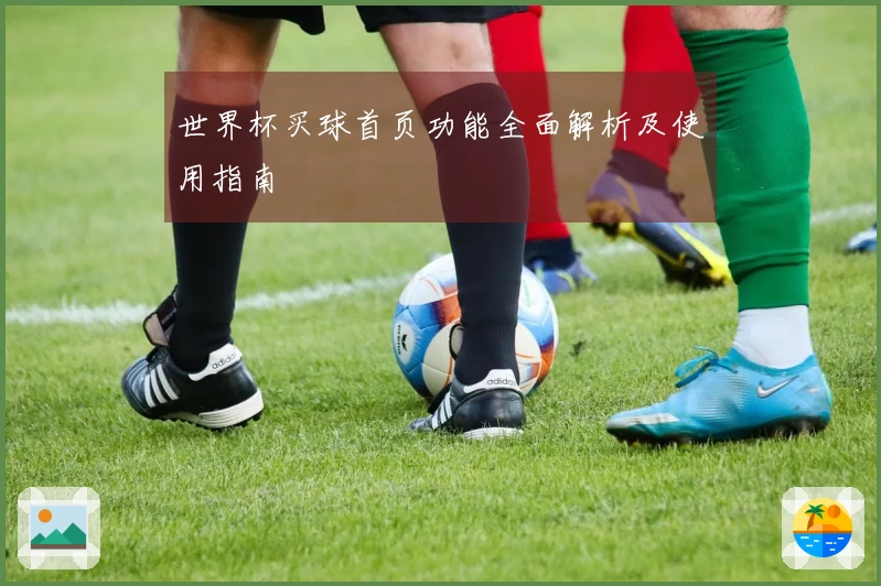 世界杯买球首页功能全面解析及使用指南