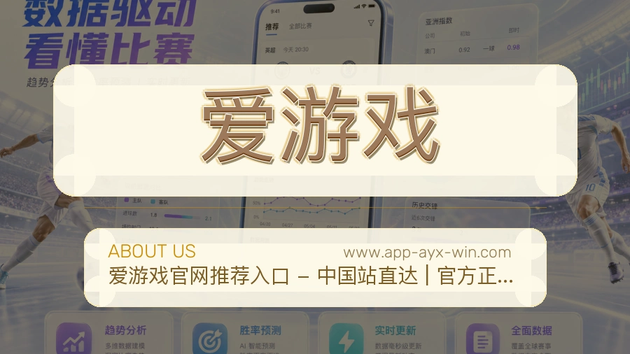 <strong>爱游戏</strong>用户安心说明